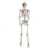 Gemmy 5 ft. Bone Skeleton with Open Mouth -Gemmy Online Store 1660939